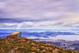 Hobart: Day Trip to Mt Wellington and MONA with Ferry Ride