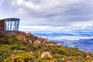 Hobart: Day Trip to Mt Wellington and MONA with Ferry Ride