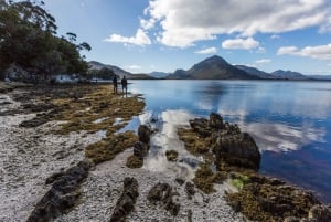 Hobart: Fly & Cruise i Southwest Wilderness Area med frokost