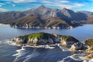 Hobart: Fly & Cruise i Southwest Wilderness Area med frokost