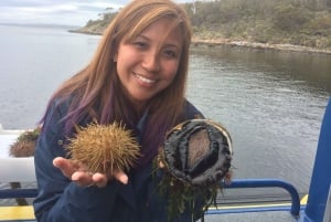 Hobart : Croisière gastronomique d'une journée en Tasmanie pour déguster des fruits de mer