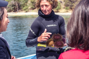 Hobart : Croisière gastronomique d'une journée en Tasmanie pour déguster des fruits de mer