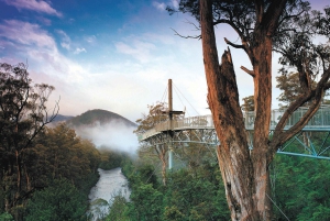 Hobart: Hastings Cave, Tahune Airwalk und Huon Tasting Trail