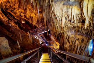 Hobart: Hastings Cave, Tahune Airwalk und Huon Tasting Trail