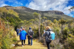 Hobart: Excursão a Hobart, Richmond e Santuário de Vida Selvagem de Bonorong