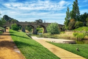Hobart: Excursão a Hobart, Richmond e Santuário de Vida Selvagem de Bonorong