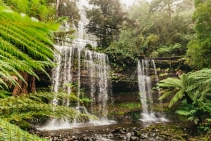 Hobart: Mt Wellington, Mt Field, Bonorong and Richmond Trip