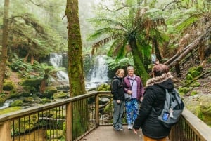 Hobart: Mt Wellington, Mt Field, Bonorong and Richmond Trip