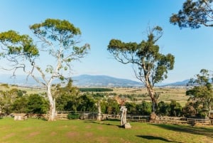 Hobart: Mt Wellington, Mt Field, Bonorong and Richmond Trip