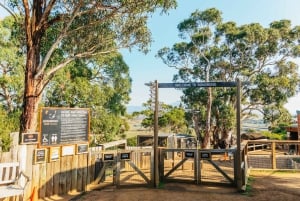 Hobart: Mt Wellington, Mt Field, Bonorong and Richmond Trip