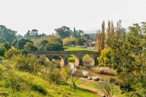 Hobart: Mt Wellington, Mt Field, Bonorong and Richmond Trip