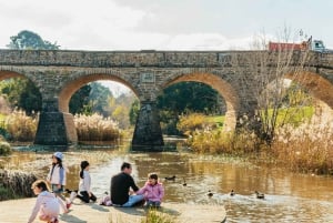 Hobart: Mt Wellington, Mt Field, Bonorong and Richmond Trip