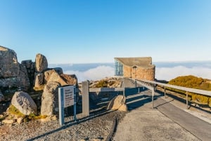 Hobart: Mt Wellington, Mt Field, Bonorong and Richmond Trip