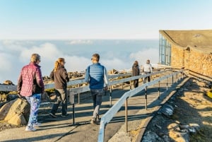 Hobart: Mt Wellington, Mt Field, Bonorong and Richmond Trip