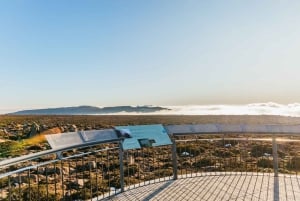 Hobart: Mt Wellington, Mt Field, Bonorong and Richmond Trip