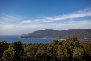 Hobart: Port Arthur, Richmond e penisola di Tasman - Tour attivo