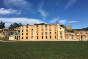Hobart: Port Arthur, Richmond e penisola di Tasman - Tour attivo
