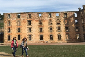 Hobart: Port Arthur, Richmond e penisola di Tasman - Tour attivo