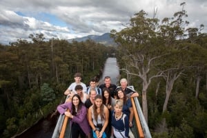 Hobart: Tahune Airwalk, Hastings Cave, Thermal Springs Tour
