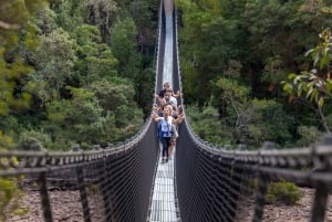Hobart: Tahune Airwalk, Hastings Cave, Thermal Springs Tour