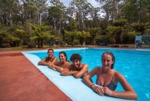 Hobart: Tahune Airwalk, Hastings Cave, Thermal Springs Tour