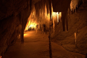 Hobart: Tahune Airwalk, Hastings Cave, Thermal Springs Tour