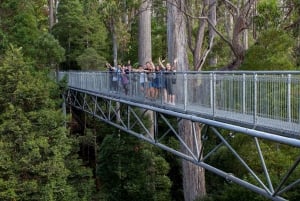 Hobart: Tahune Airwalk, Hastings Cave, Thermal Springs Tour