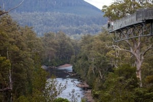 Hobart: Tahune Airwalk, Hastings Cave, Thermal Springs Tour