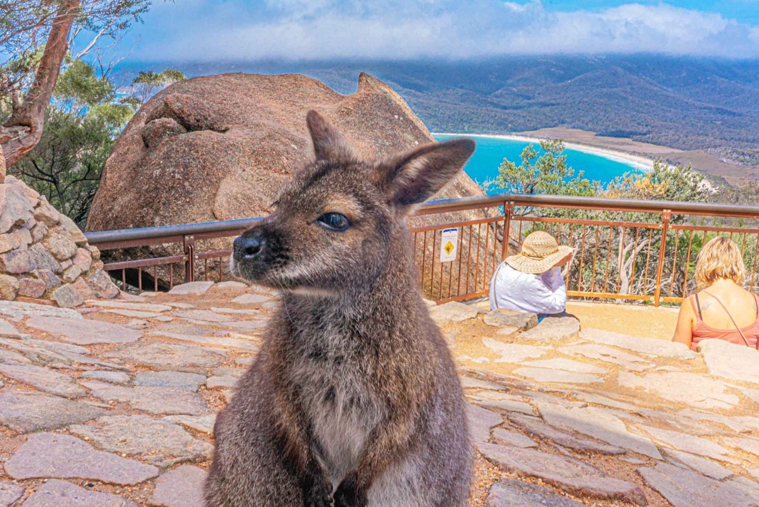 Hobart: Tour por Wineglass Bay, el Parque Freycinet y Richmond