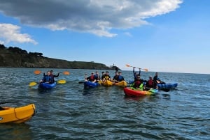 Howth: Geführte Seekajaktour zum Baily-Leuchtturm mit Bildern