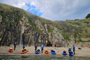 Howth: Geführte Seekajaktour zum Baily-Leuchtturm mit Bildern