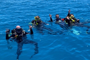 Airlie Beach: Introductory Scuba Dive in the Whitsundays