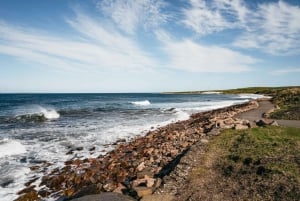 Inverness: John O'Groats and the Far North Day Tour
