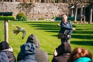 Inverness: John O'Groats and the Far North Day Tour
