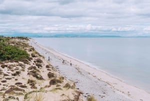 Inverness: Moray Coast, Wildlife and Speyside Whisky Tour