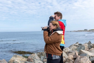 Inverness: Moray Coast, Wildlife and Speyside Whisky Tour