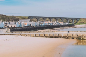 Inverness: Moray Coast, Wildlife and Speyside Whisky Tour