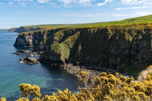 Inverness: Whisky, Wildlife, and Beaches Day Tour