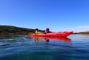 Ilha de Skye: Passeio de caiaque com o sabor da Escócia