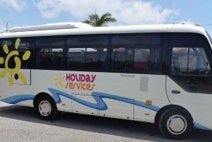 Jamaica: Dunn's River Falls, 9 Mile and Optional Lagoon Tour