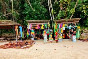 Jamaica: Dunn's River Falls, 9 Mile and Optional Lagoon Tour