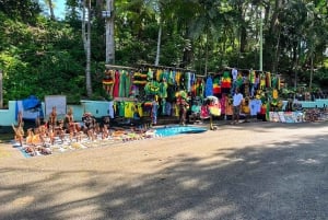 Jamaica: Dunn's River Falls, 9 Mile and Optional Lagoon Tour