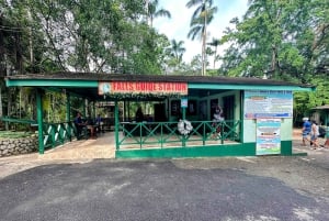 Jamaica: Dunn's River Falls, 9 Mile and Optional Lagoon Tour