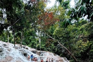 Jamaica: Dunn's River Falls, 9 Mile and Optional Lagoon Tour