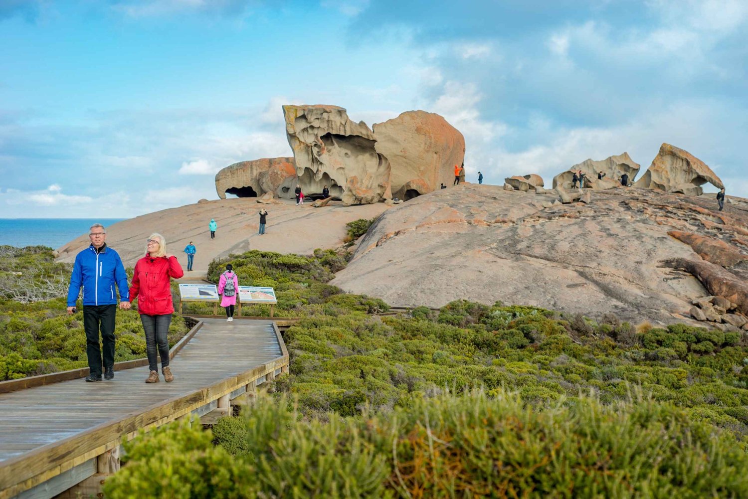 Kangaroo eiland hele dag per veerboot inclusief lunch