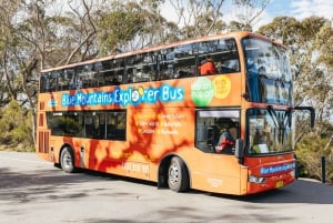 Katoomba: Lyrebird Hop-On Hop-Off and Scenic World Pass