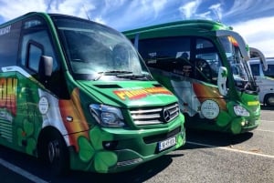 Kerry: Heldagstur fra Dublin