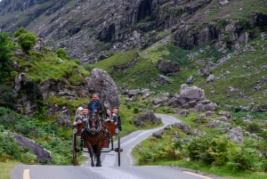 Killarney: Gap of Dunloe Pony, Trap & Traditional Boat Tour