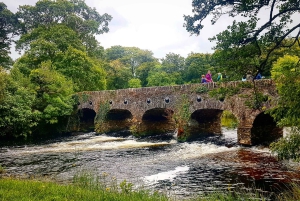 Killarney: Gap of Dunloe Pony, Trap & Traditional Boat Tour