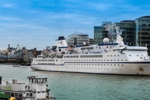 Privérondleiding door Londen vanaf de luchthaven Heathrow